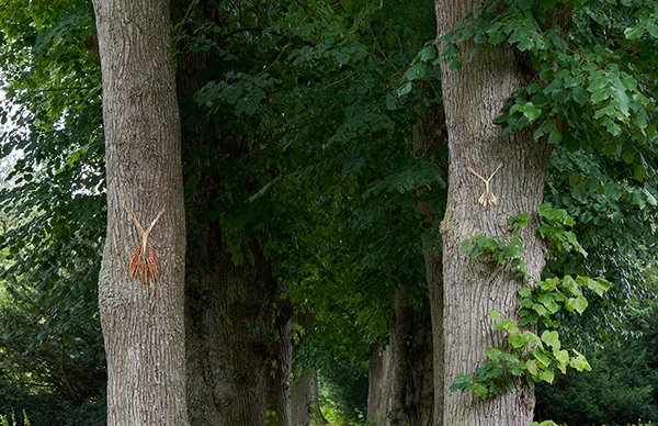 (5)_Sidsel_Bonde,_Grødegejster,_agerånder,_2022._Installationsbillede_fra_I_mørket_beder_vi_solen_huske_os._Foto__Brian_Kure_GRAYSC.jpg>