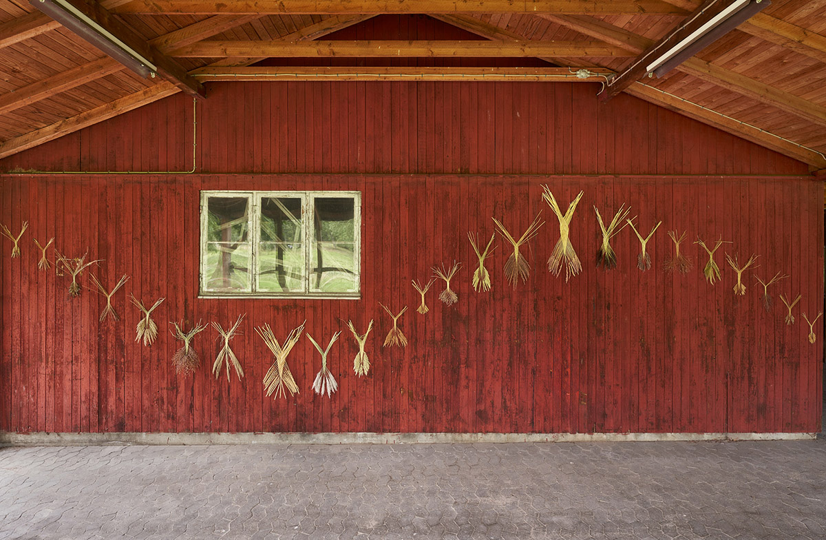 3_Sidsel_Bonde,_Grødegejster,_agerånder,_2022_Installationsbillede_fra_I_mørket_beder_vi_solen_huske_os_Foto__Brian_Kure_GRAYSC.jpg><