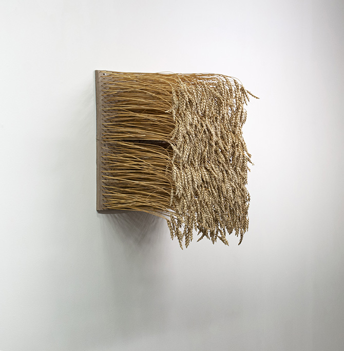 Aks_I_Øyehøyde3.jpgtop>