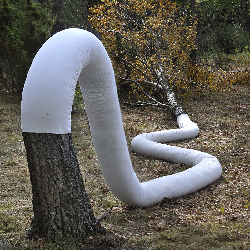 DSC2615websmall.jpg<