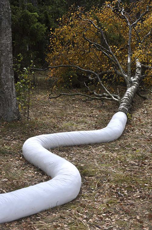 Four_Trees_Fell_Silent2.jpg<