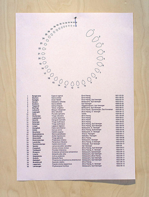 Schaannings_Eggs4.jpg=