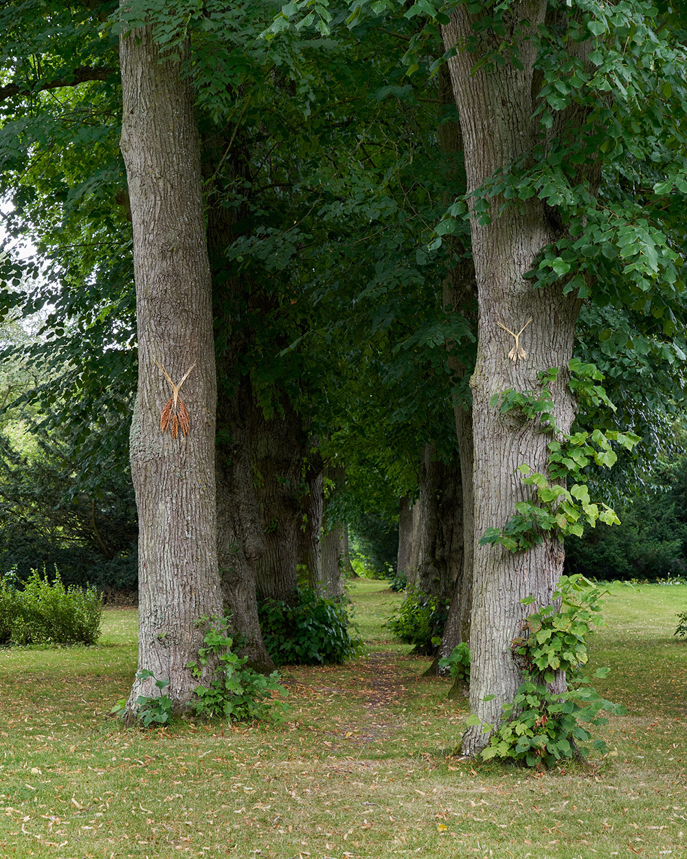 Sidsel_Bonde,_Grødegejster,_agerånder,_2022_Installationsbillede_fra_I_mørket_beder_vi_solen_huske_os_Foto__Brian_Kure_GRAYSC.jpgtop>